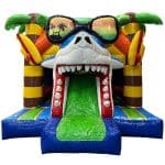 fun shark hoplaboum 1