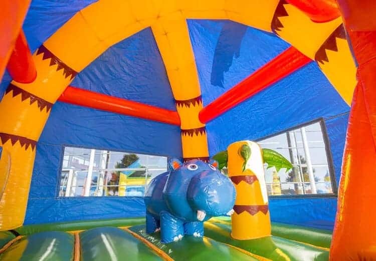 hippopotame hoplaboum 4